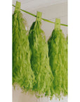Paper Tassel Garland Lime Green 10Ft- 1Pc
