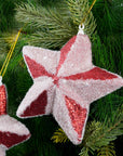 Glitter Red Snow Star Ornament- 2Pc