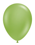 Fiona Latex Balloon (Air Filled) - 5 Inches