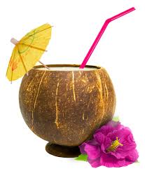 Coconut Cup with Flower Attached- 1Pc