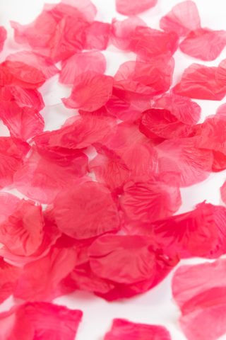 Fabric Rose Petals Hot Pink-144pc