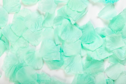 Fabric Rose Petals Mint Green-144pc