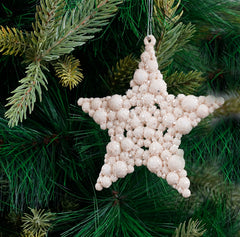 White Star Ornament- 6Pc