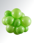 Lime Green Latex Balloon (Air Filled) - 5 Inches